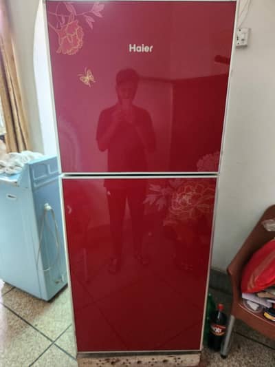 haier frigh for sale