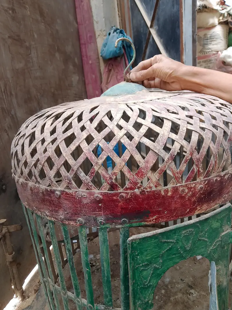 green parrot cage — photo 5