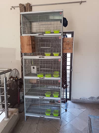 cage/ringneck/cocktail/love birds