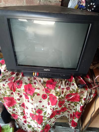 Saniyo Television