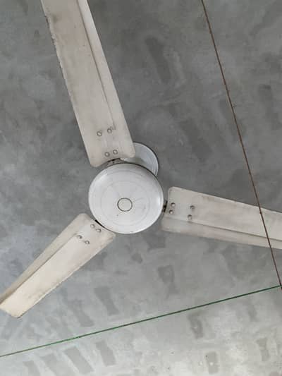 Used fan