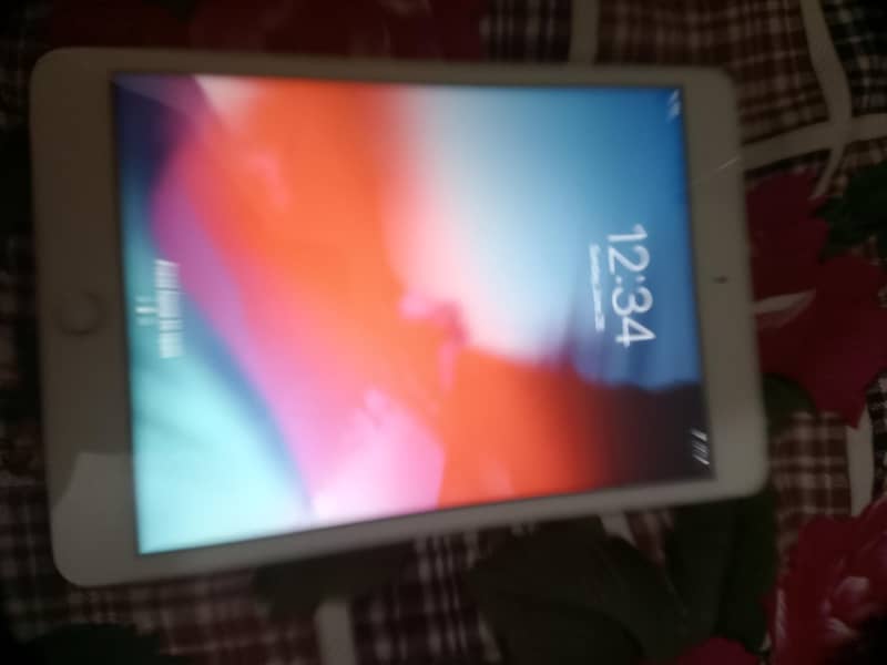 Mini IPad 0