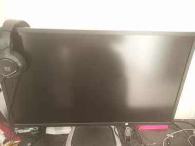 HP Monitor