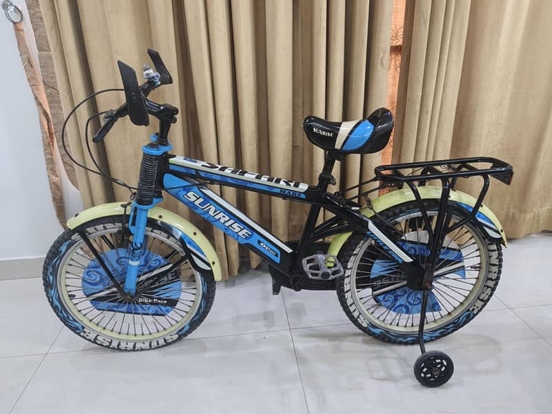 IMPORTED BICYCLE 0
