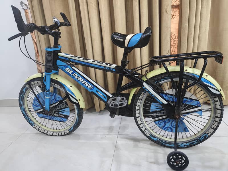 IMPORTED BICYCLE 1