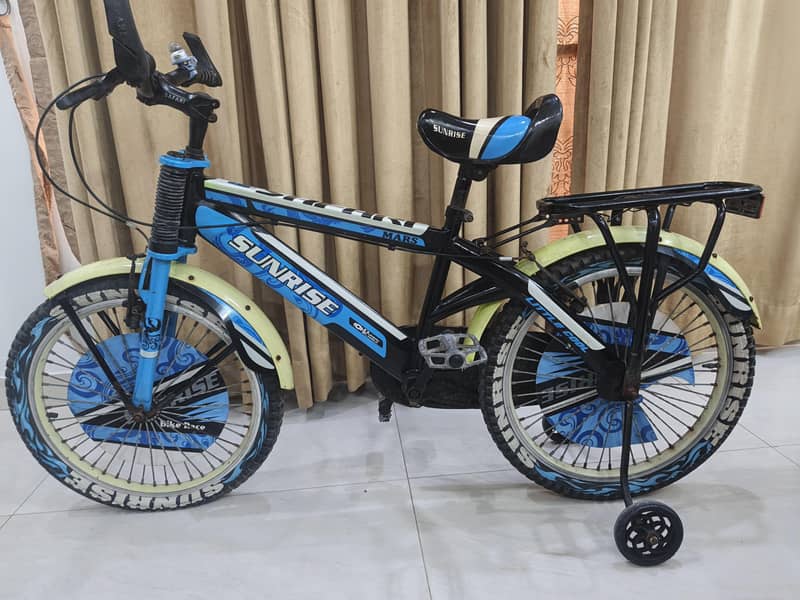 IMPORTED BICYCLE 2