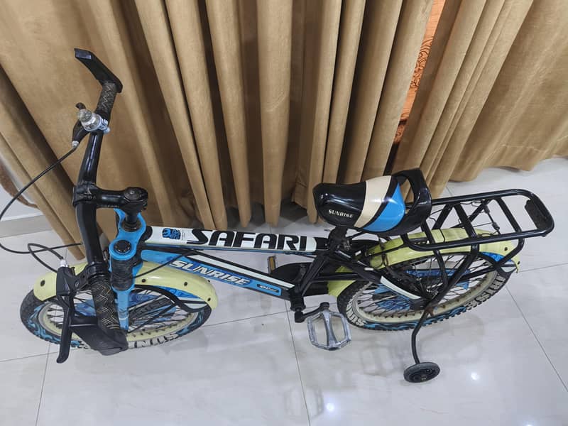 IMPORTED BICYCLE 3