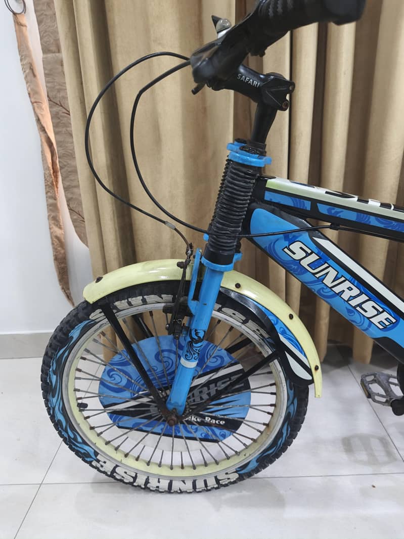 IMPORTED BICYCLE 4