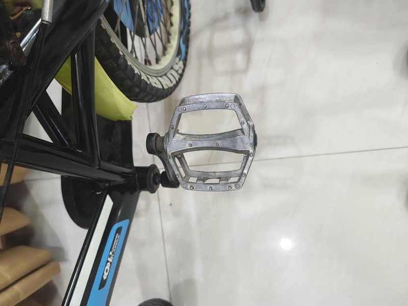 IMPORTED BICYCLE 5