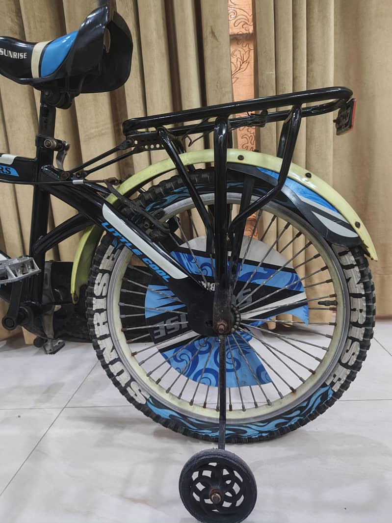IMPORTED BICYCLE 6
