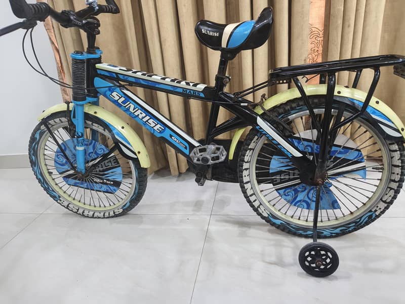 IMPORTED BICYCLE 7