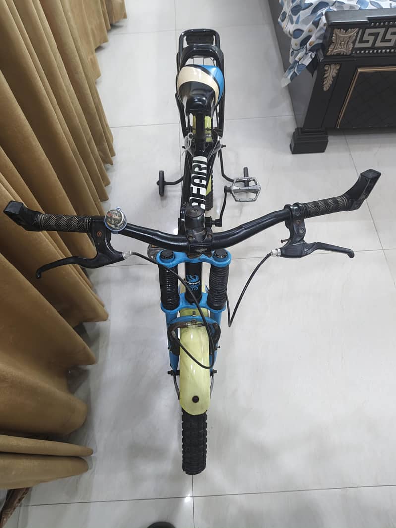 IMPORTED BICYCLE 8
