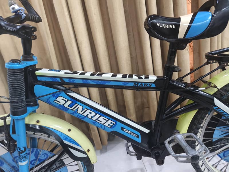 IMPORTED BICYCLE 9