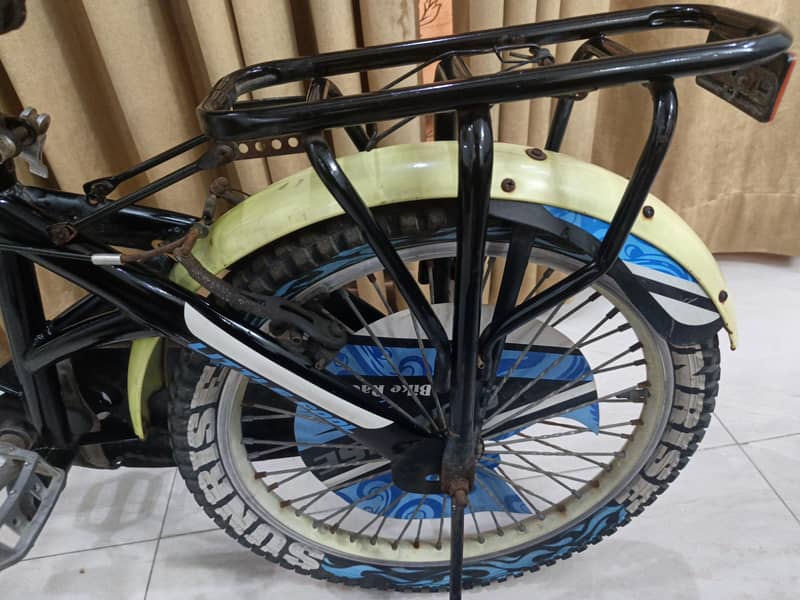 IMPORTED BICYCLE 10