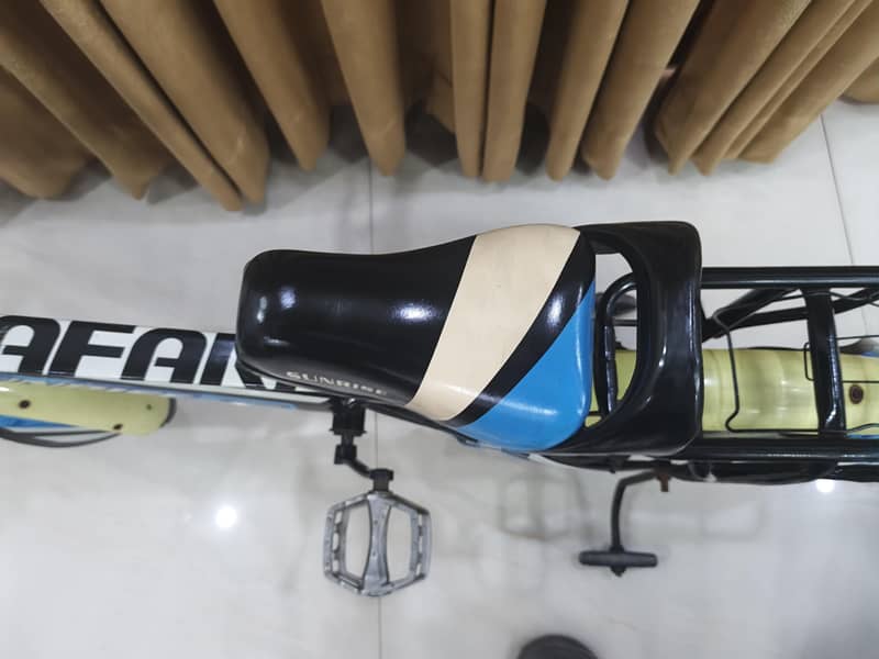 IMPORTED BICYCLE 12