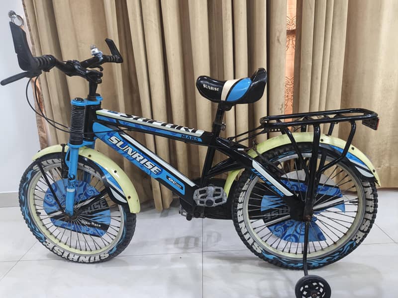 IMPORTED BICYCLE 14