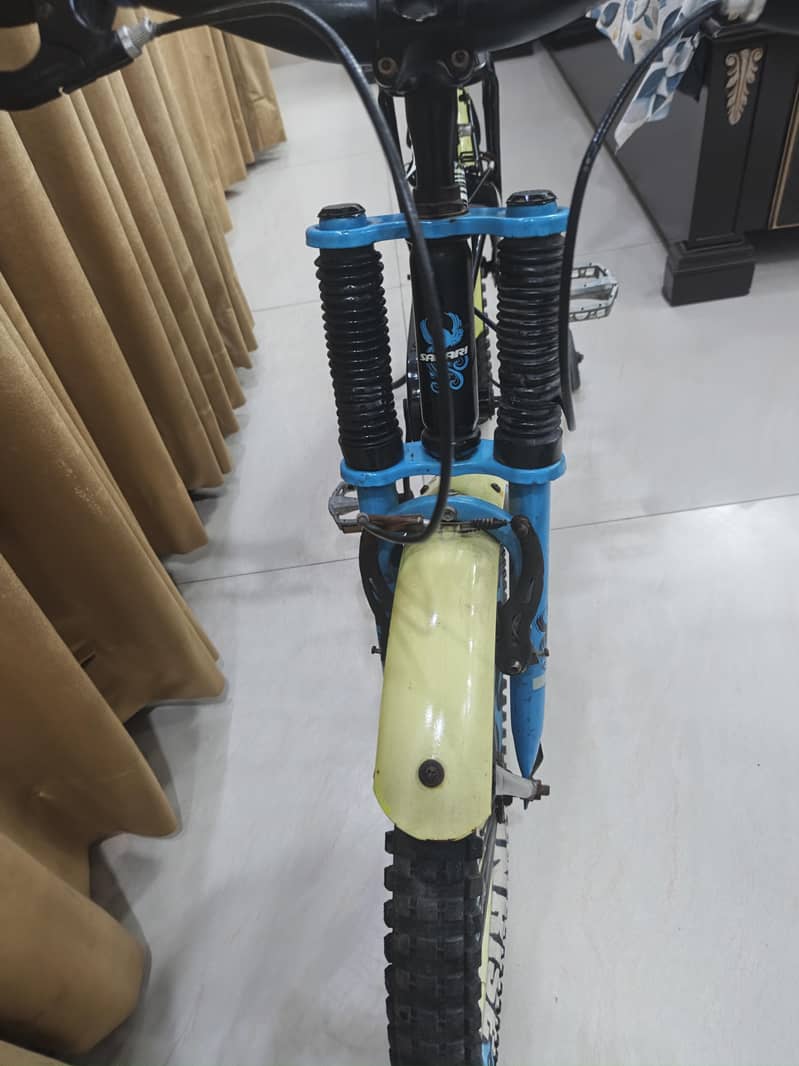 IMPORTED BICYCLE 15