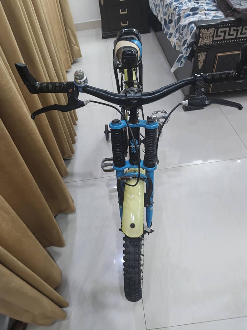 IMPORTED BICYCLE 16