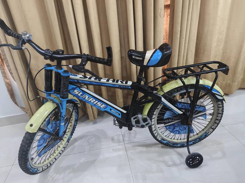 IMPORTED BICYCLE 17