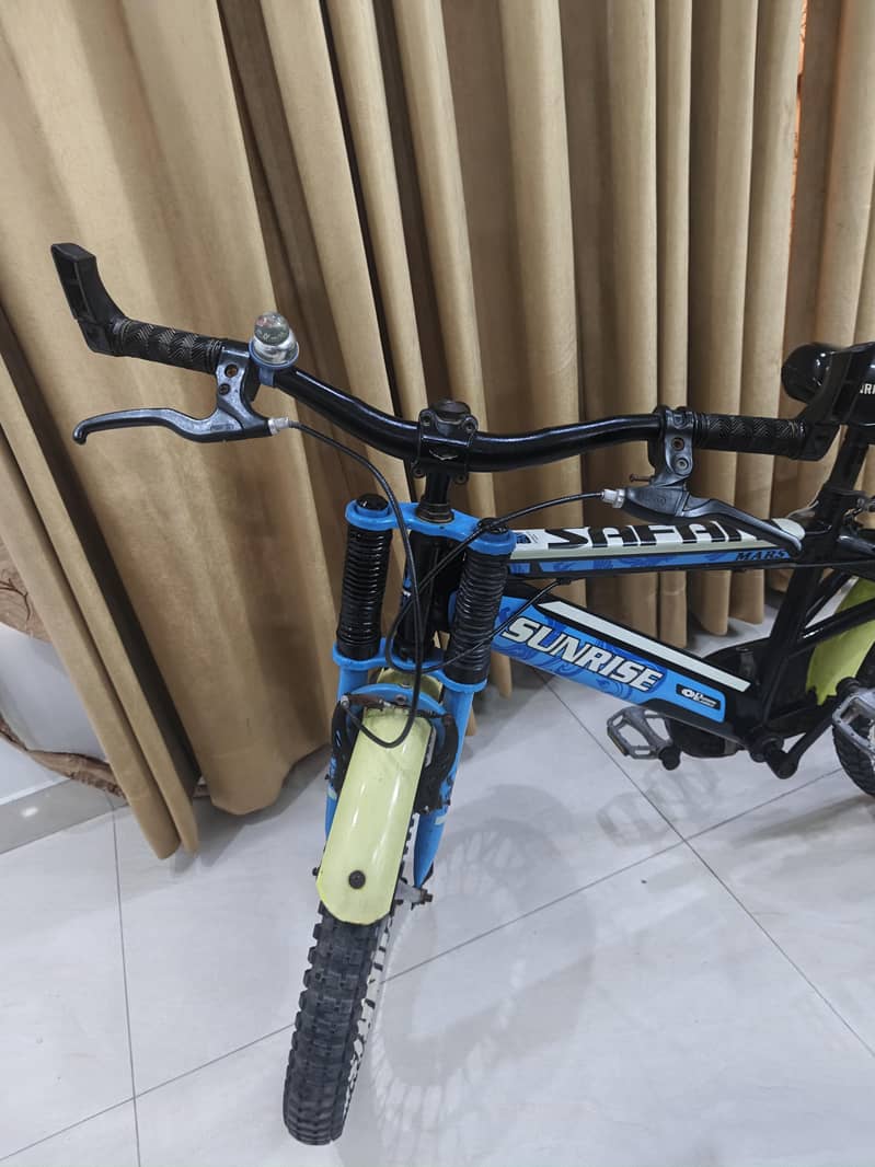IMPORTED BICYCLE 18