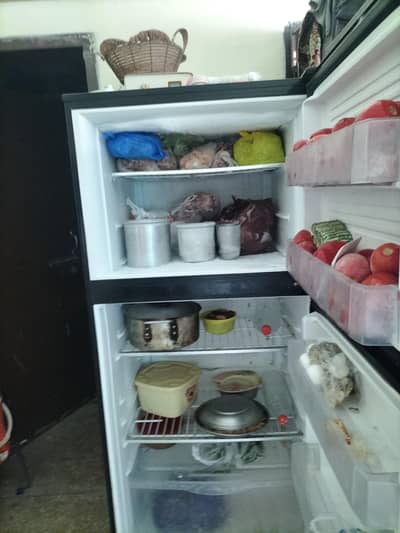 PEL frige All ok no repeair