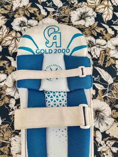 CA 3000 cricket pad