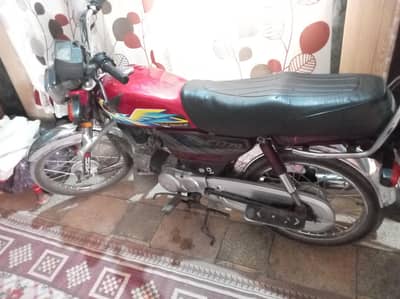 shaf sutri bike hy