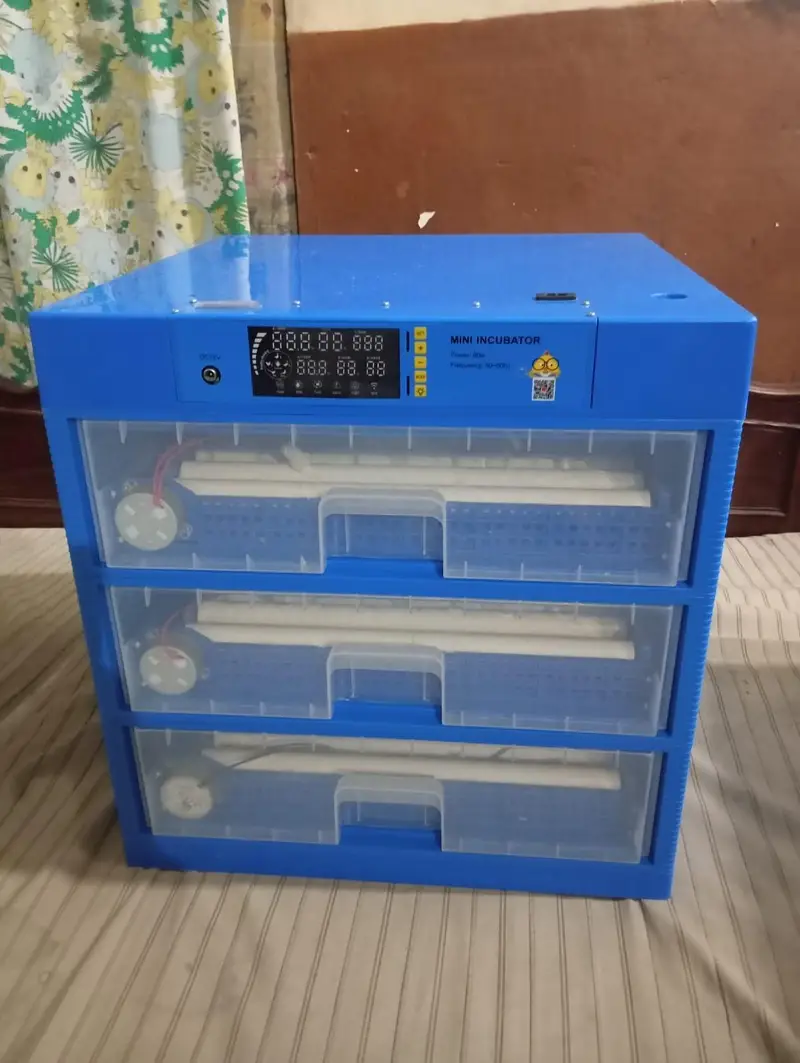 imported incubator