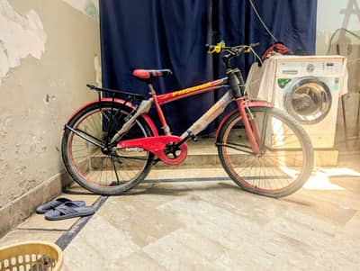 phoenix cycle