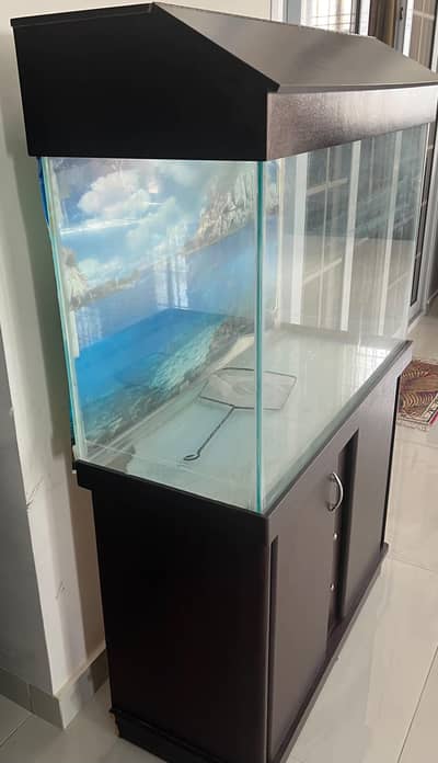 Aquarium available