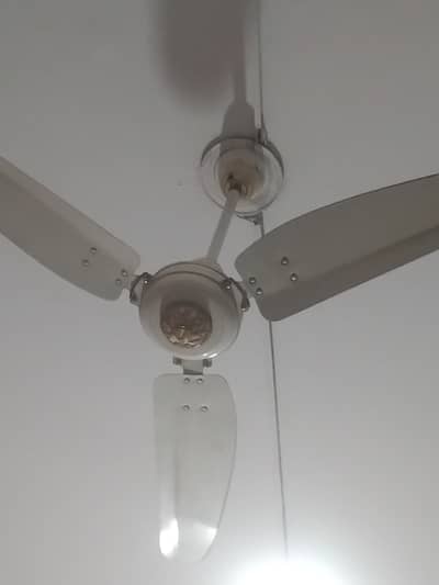 02 Royal fans 02 other brands full pure 100  % copper 01 exhaust