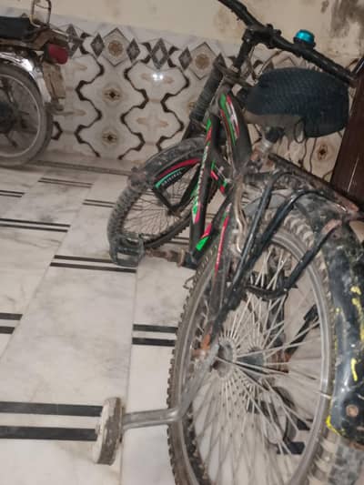 cycle
