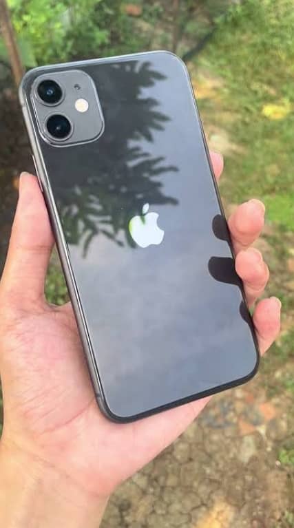 iPhone 11 0