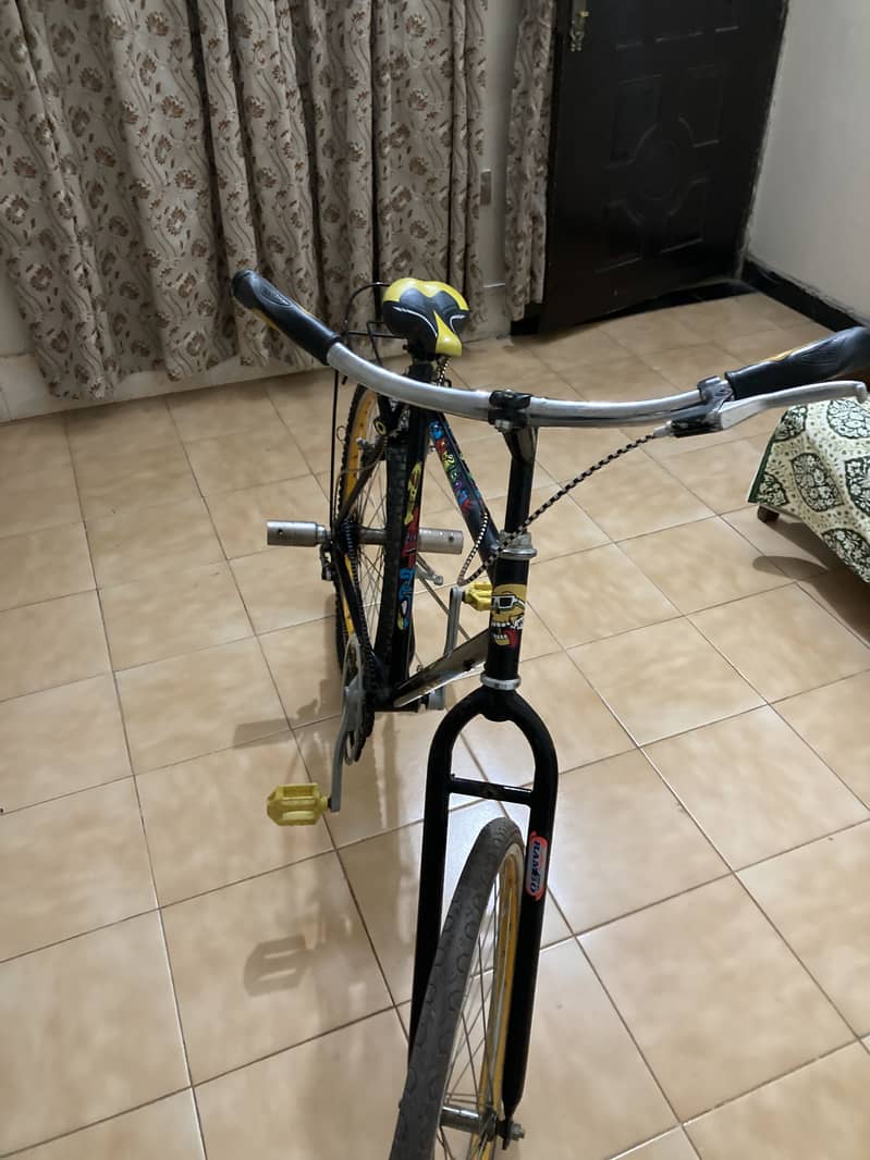 Phoenix cycle 2