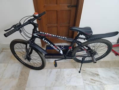 KOREAN ALLIMUNIUM FRAME CYCLE