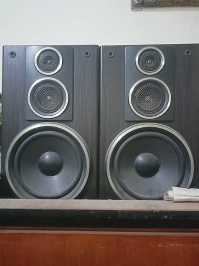 Sony 8 inch woofer speakers