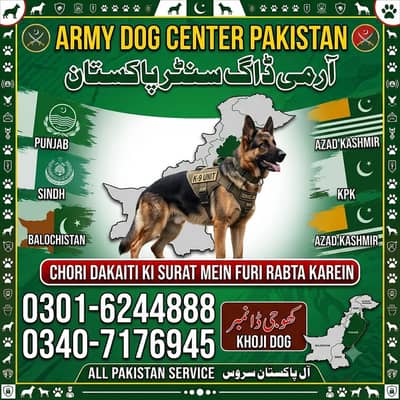 03016244888 Army Dog center All Pakistan Service Khogi kutta service