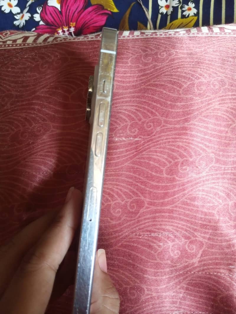 Apple iPhone 12 Pro Max 4