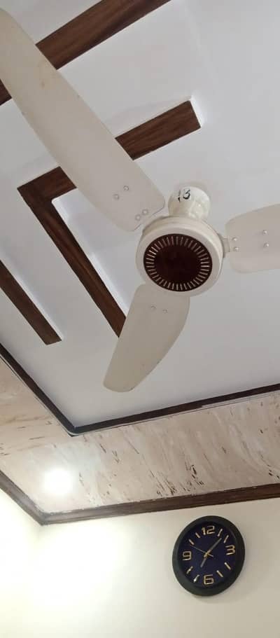 8 ceiling fan for sale