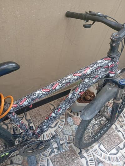 Medium Classical Bicycle