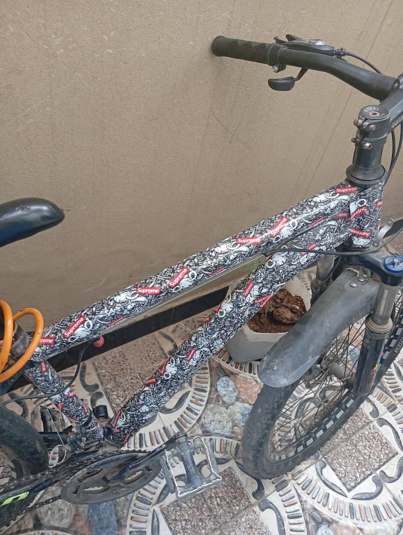 Medium Classical Bicycle 0