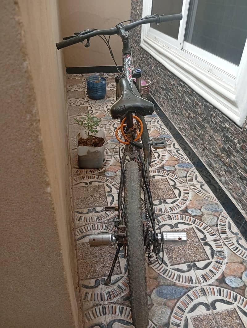 Medium Classical Bicycle 2