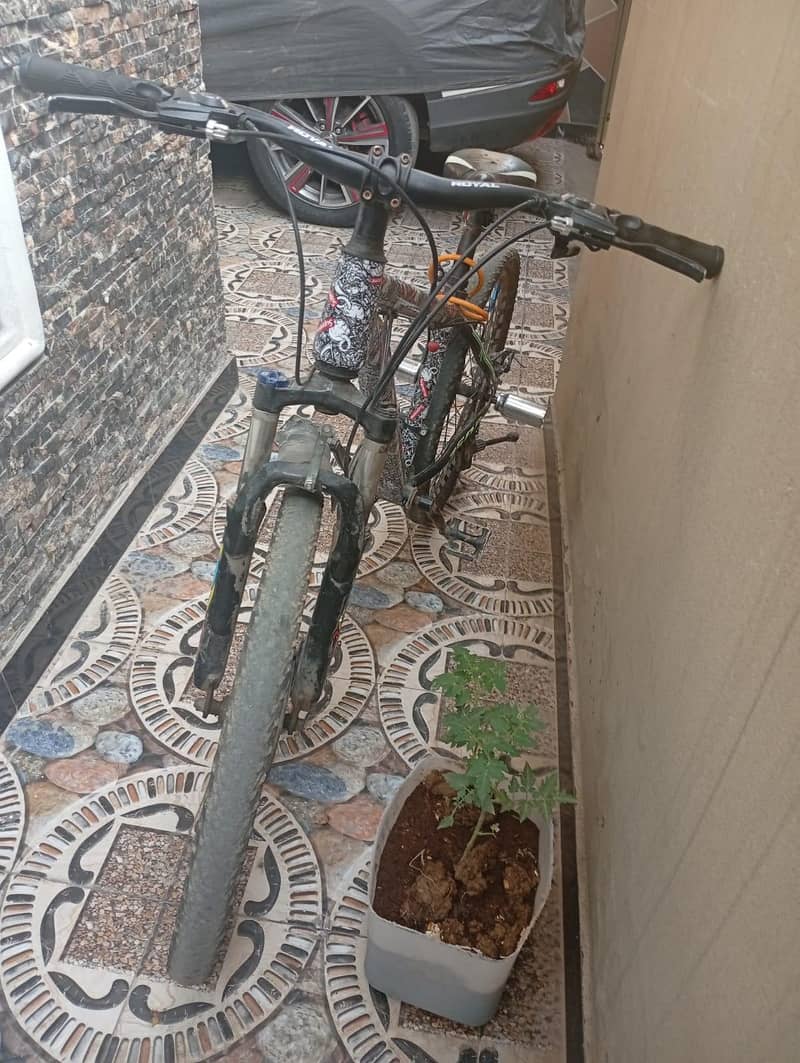 Medium Classical Bicycle 3