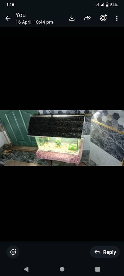 equerium fish tank
