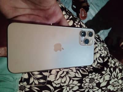 Apple iPhone 11 Pro