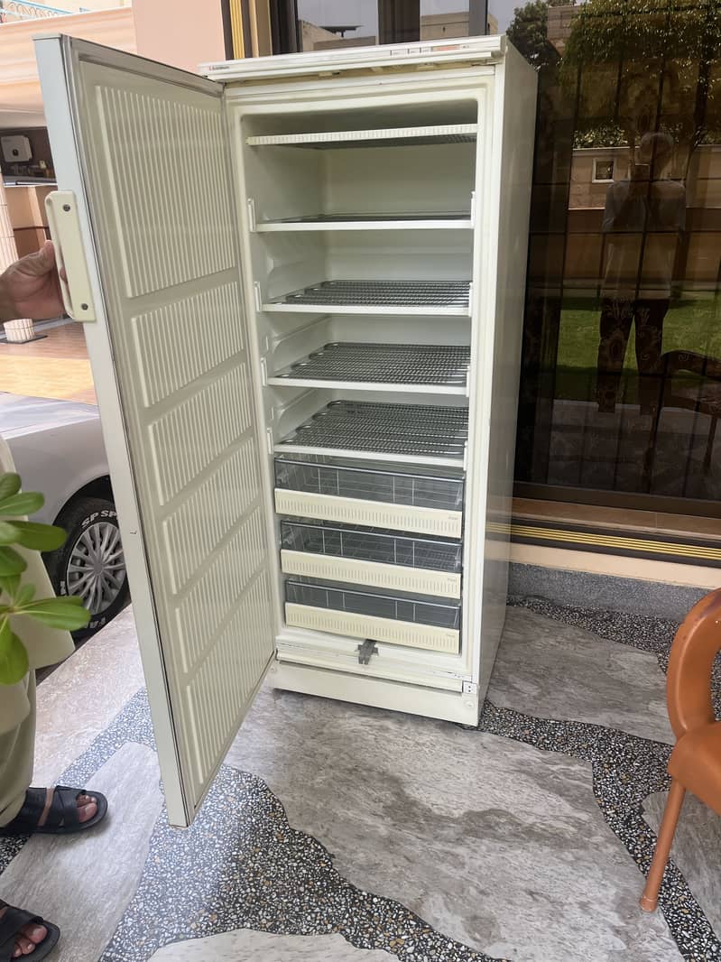 Freezer 2