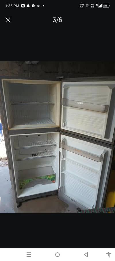 fridge meduim