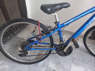 Bridgestone Gear Bicycle