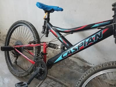 china imported bicycle