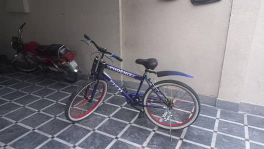 phoenix cycle Used for a week